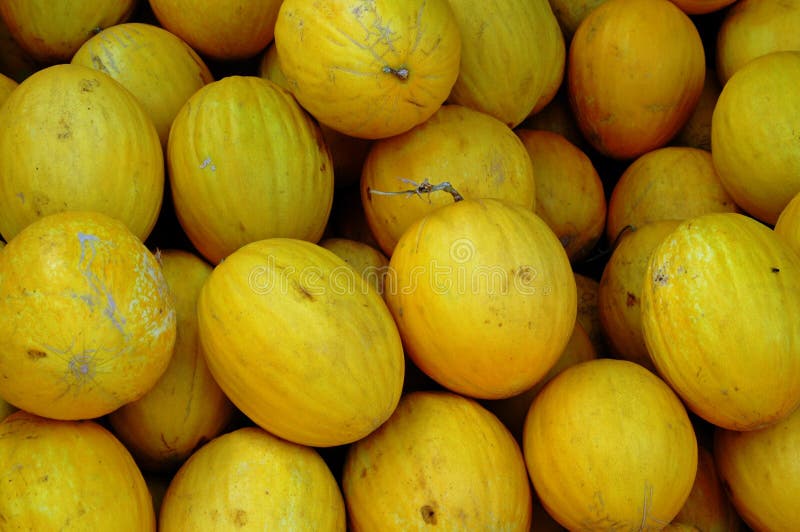 Honeydew Melons at Market, Moulay Idriss Zerhoun, Morocco royalty free stock photography Honeydew Melons at Market, Moulay Idriss Zerhoun, Morocco royalty free stock photography