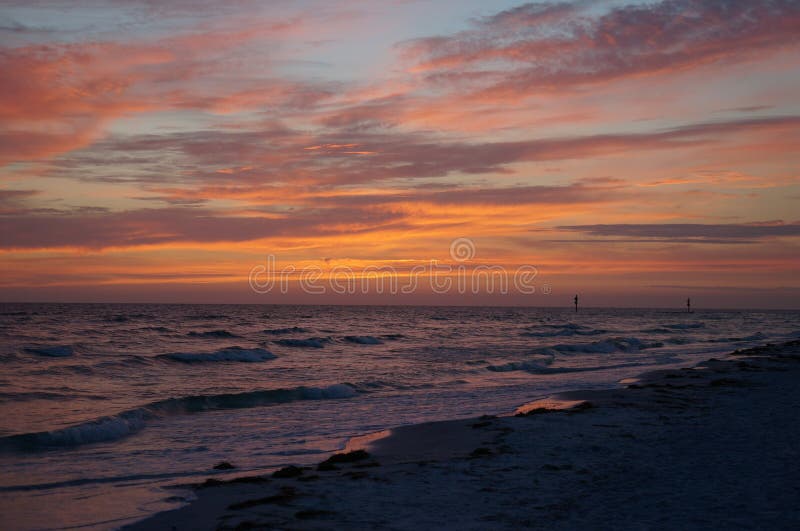 Honeymoon Island State Park, Florida Stock Image Image of lavender
