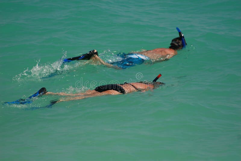 Honeymoon snorkel royalty free stock image
