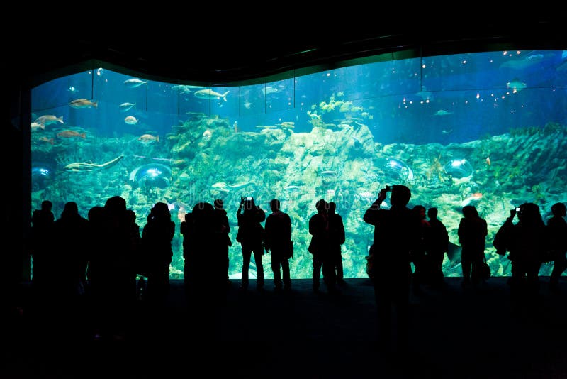 Hong Kong - 15 de marzo: Gente que mira el acuario grande en Hong Kong Ocean Park el 15 de marzo de 2012 fotos de archivo libres de regalías