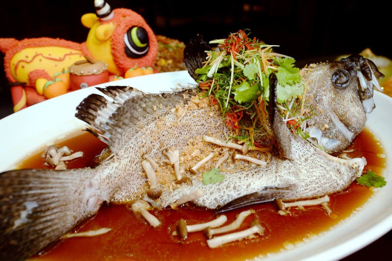 Hong Kong style steamed dragon grouper with mushroom and herbs o royalty free stock photos Hong Kong style steamed dragon grouper with mushroom and herbs o royalty free stock photos