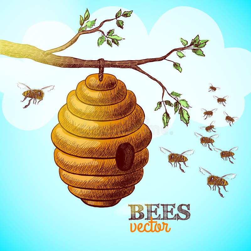 Honigbienen und -bienenstock auf Baumasthintergrund stock abbildung Honigbienen und -bienenstock auf Baumasthintergrund stock abbildung