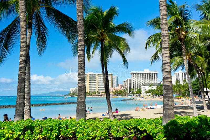 Beautiful view of Honolulu, Hawaii, United States. Beautiful view of Honolulu, Hawaii, United States