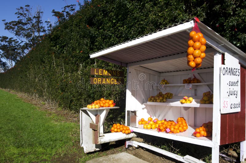 https://thumbs.dreamstime.com/b/honor-store-farm-stand-fresh-lemons-oranges-sale-32879169.jpg