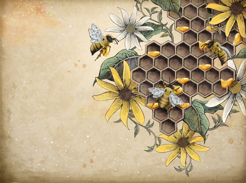 Honungbi och bikupa