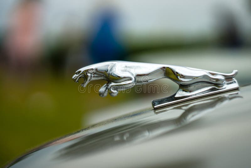 106 Jaguar Hood Ornament Stock Photos - Free & Royalty-Free Stock Photos  from Dreamstime