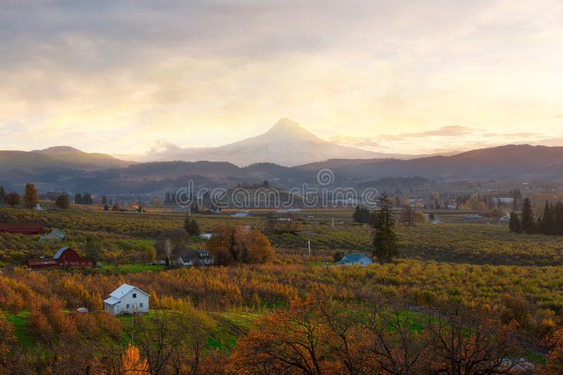 Hood River Oregon at Sunset in Fall Stock Photo Image of fruits