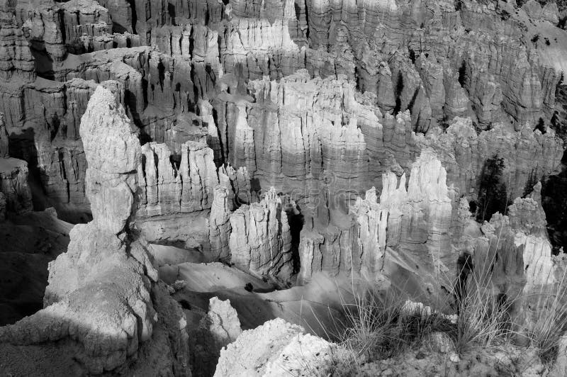 Hoodoo Light, Bryce Canyon