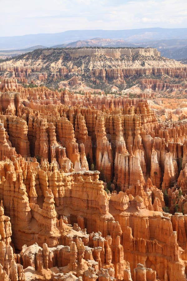 Hoodoos at Bryce Canyon