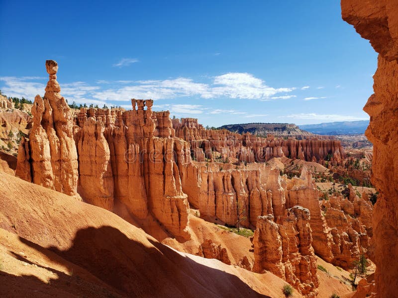 Hoodoos at Bryce Canyon National Park in Utah.