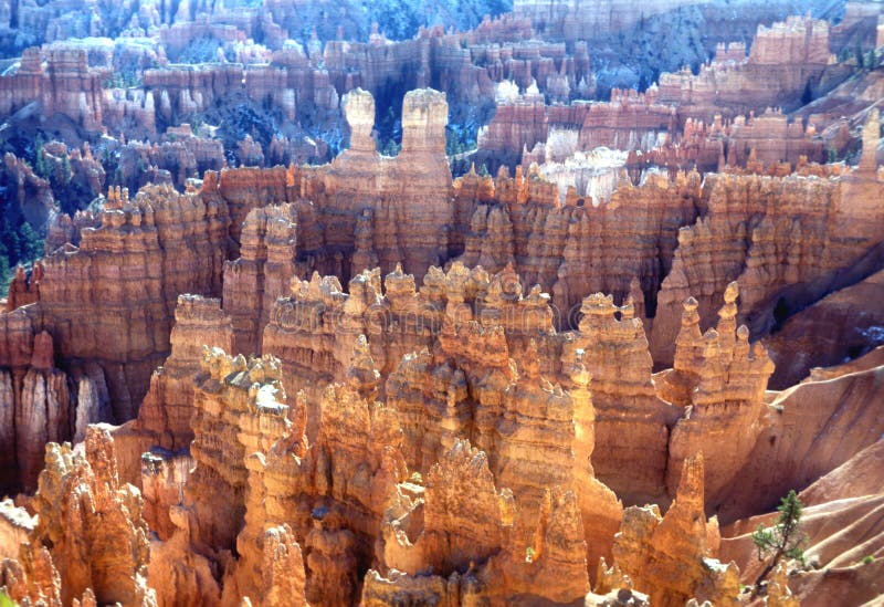Hoodoos del canyon di Bryce immagine stock libera da diritti Hoodoos del canyon di Bryce immagine stock libera da diritti