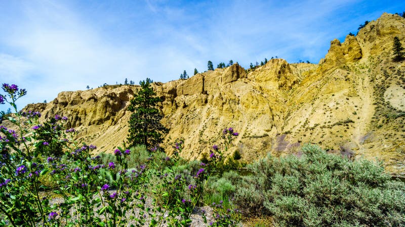 Hoodoos wzdłuż Nicola rzeki 8 między autostrady i Merritt i Spences mostem w kolumbiach brytyjska obrazy stock Hoodoos wzdłuż Nicola rzeki 8 między autostrady i Merritt i Spences mostem w kolumbiach brytyjska obrazy stock