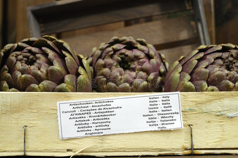 hoofd van de 3 het verse artisjokken groen-purpere bloem, op houten backgroun royalty-vrije stock afbeeldingen hoofd van de 3 het verse artisjokken groen-purpere bloem, op houten backgroun royalty-vrije stock afbeeldingen