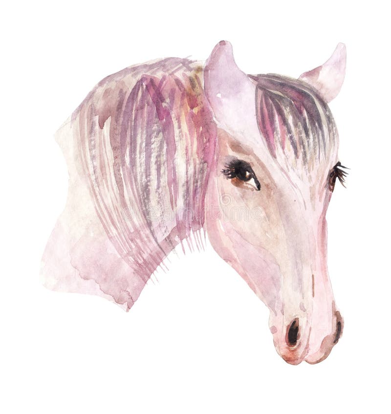Hoofd van het waterverf het mooie paard stock illustratie Hoofd van het waterverf het mooie paard stock illustratie