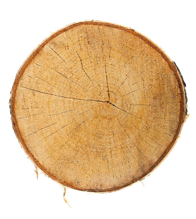Hoogste mening van een boomstomp stock fotografie Hoogste mening van een boomstomp stock fotografie