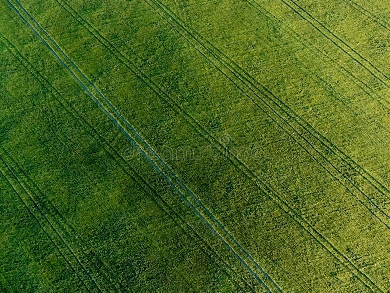 Hoogste mening van groene landbouwgrondgebied of weide, landbouw landelijk landschap, abstracte minimalismachtergrond royalty-vrije stock afbeeldingen Hoogste mening van groene landbouwgrondgebied of weide, landbouw landelijk landschap, abstracte minimalismachtergrond royalty-vrije stock afbeeldingen