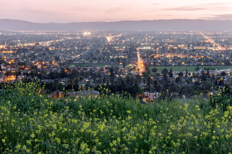 Hoogte boven Silicon Valley dat met Gebiedsmosterd wordt gekleurd in de Lente stock foto's Hoogte boven Silicon Valley dat met Gebiedsmosterd wordt gekleurd in de Lente stock foto's