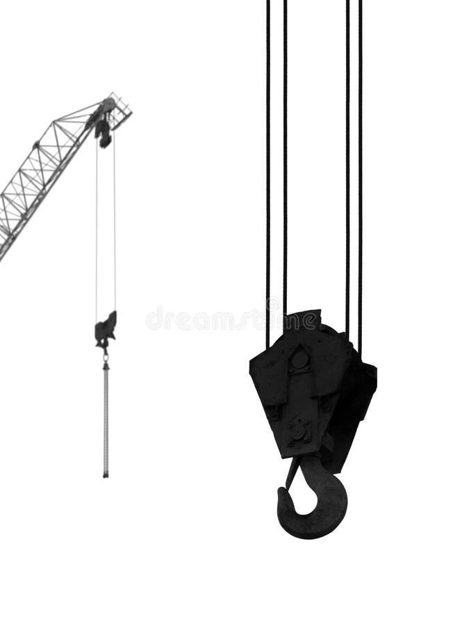 Hook of a hoisting crane