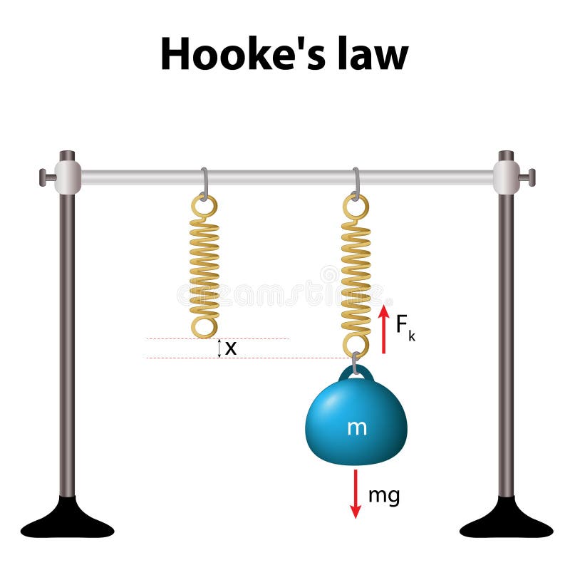 Hooke S Law. the Force is Proportional To the Extension Stock Vector