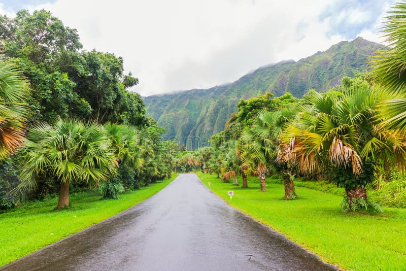 Ho’omaluhia Botanical Garden in Oahu, Hawaii stock photo