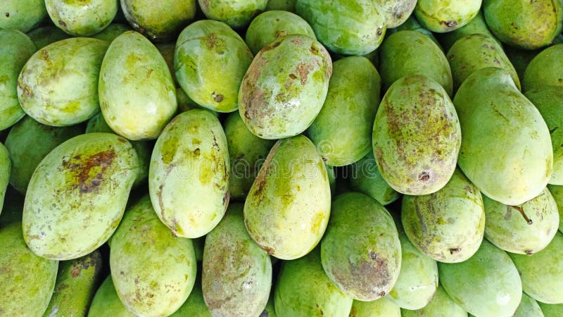 Hoop verse groene mango's op de markt royalty-vrije stock fotografie