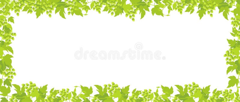 Hop plant frame rectangular banner. Border frame isolated transparent background. Green leaves and cones lupulus humulus. Vector royalty free illustration