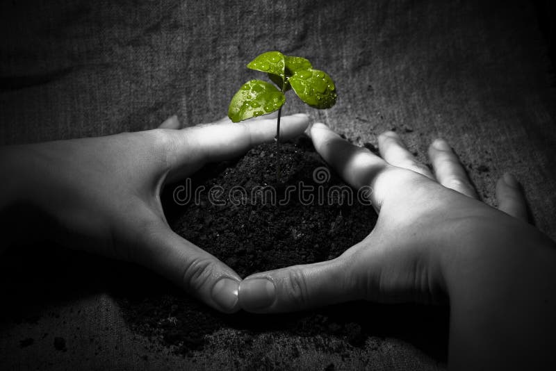 hope hope
