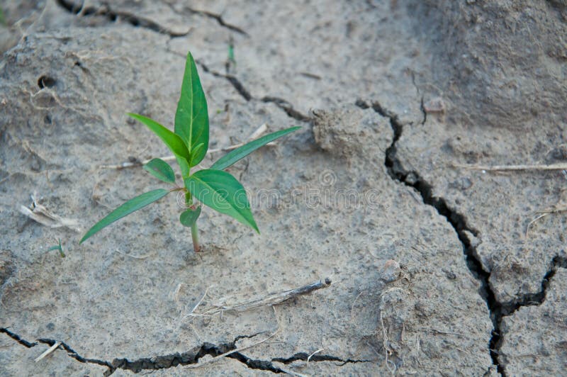 Hope drought stock images Hope drought stock images