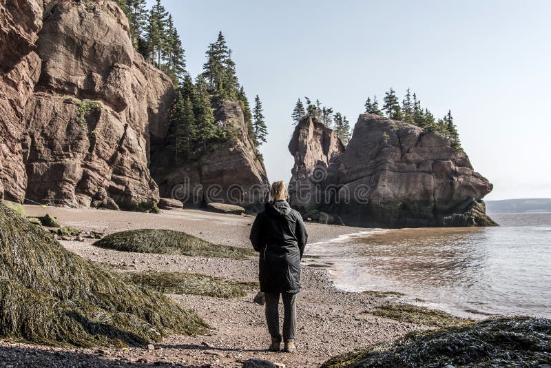 Playa De La Marea Baja En La Bahía De Fundy Nuevo Brunswick - El