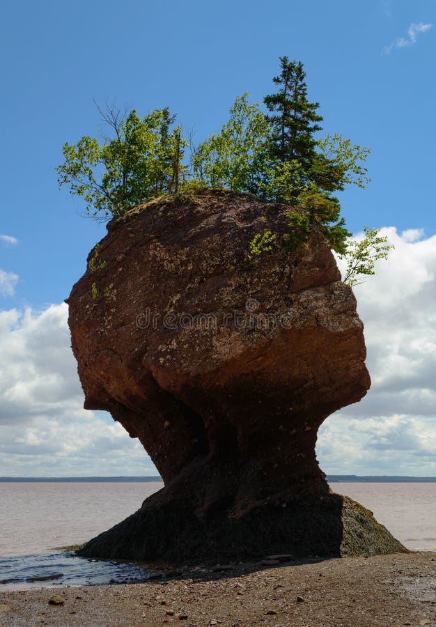 450+ Hopewell Rocks Beach Stock Photos, Pictures & Royalty-Free