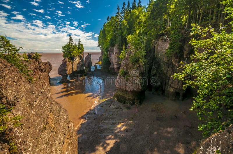 Hopewell Rocks