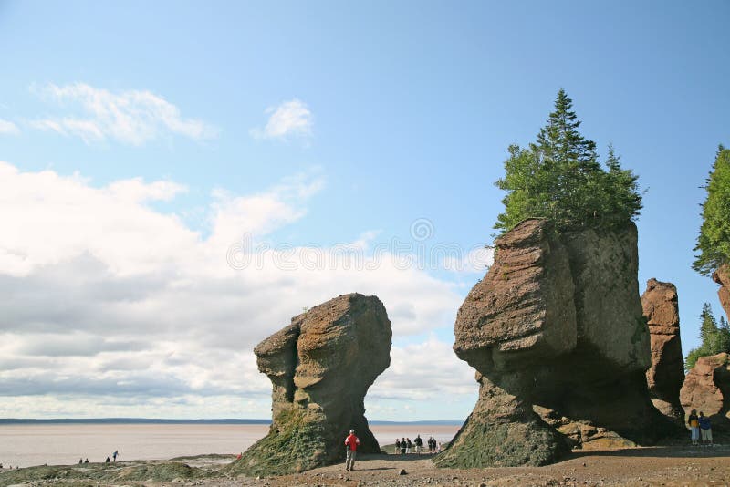 450+ Hopewell Rocks Beach Stock Photos, Pictures & Royalty-Free