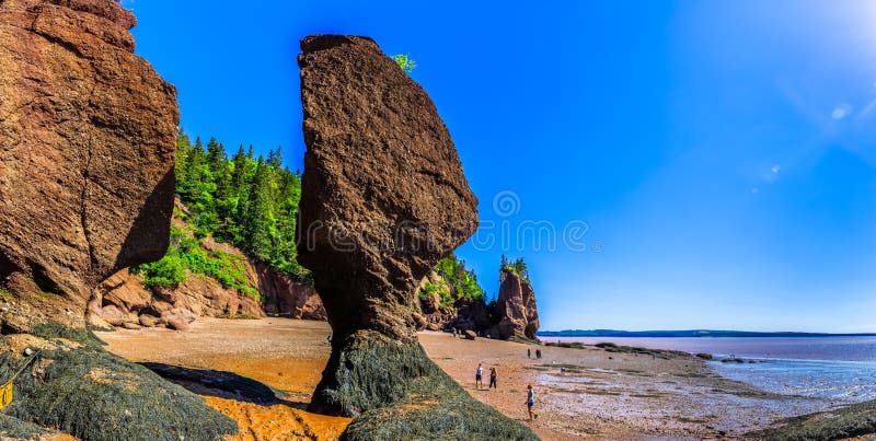 450+ Hopewell Rocks Beach Stock Photos, Pictures & Royalty-Free