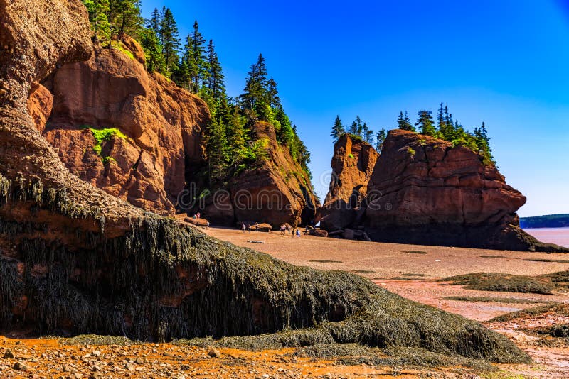 The Hopewell Or Flowerpot Rocks In The Bay Of Fundy New Brunswick Stock  Photo - Download Image Now - iStock