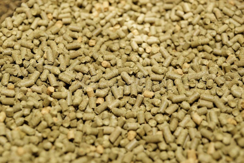 Hops pellets used for brewing beer