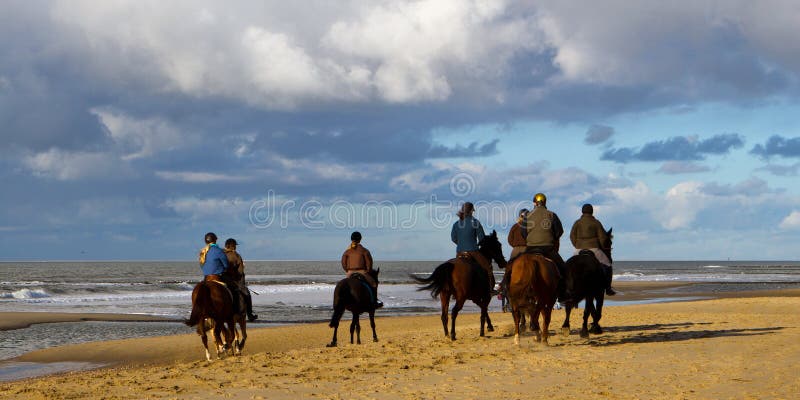 Horesbackruiters op strand stock foto Horesbackruiters op strand stock foto