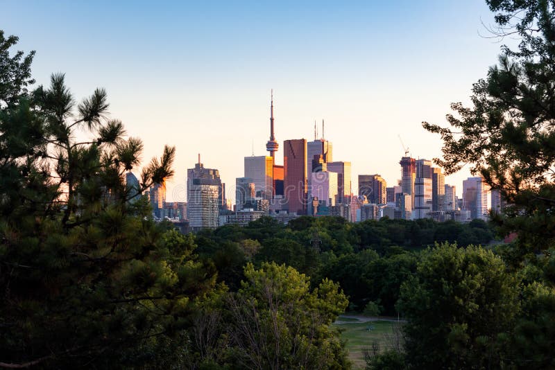 Horizon de centre de la ville de Toronto pendant égaliser le coucher du soleil d'or d'heure vu de l'est de parc de Riverdale photo stock Horizon de centre de la ville de Toronto pendant égaliser le coucher du soleil d'or d'heure vu de l'est de parc de Riverdale photo stock