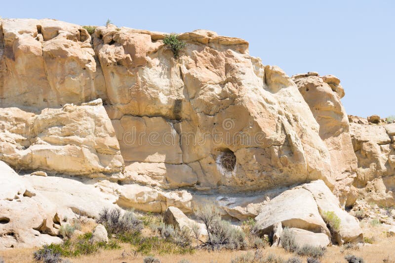 A large bird`s nest made in a defect in sandstone and filled with twigs and branches. Blue cloudless sky is above and sage brush is in the foreground. A large bird`s nest made in a defect in sandstone and filled with twigs and branches. Blue cloudless sky is above and sage brush is in the foreground.