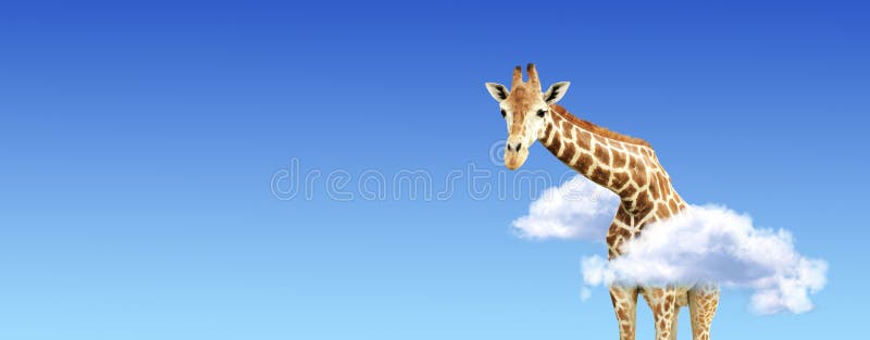 Horizontal banner with giraffe above clouds