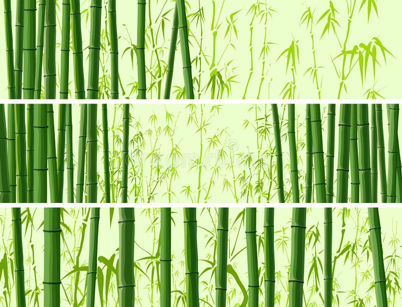 Horizontal banner with many bamboos. vector illustration