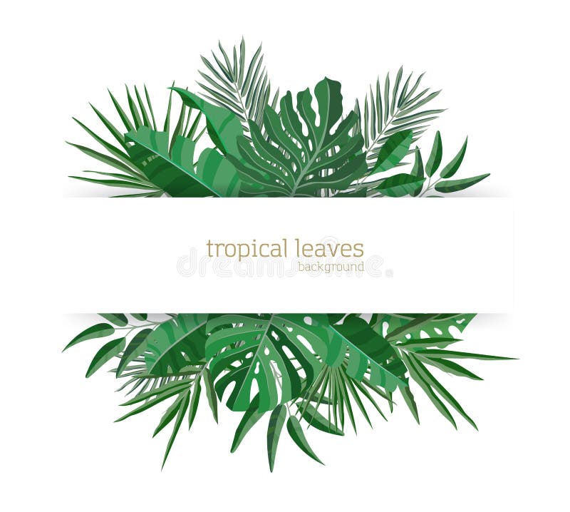 Horizontal banner template decorated with green foliage of tropical paradise plants or green exotic palm leaves. Elegant royalty free illustration Horizontal banner template decorated with green foliage of tropical paradise plants or green exotic palm leaves. Elegant royalty free illustration