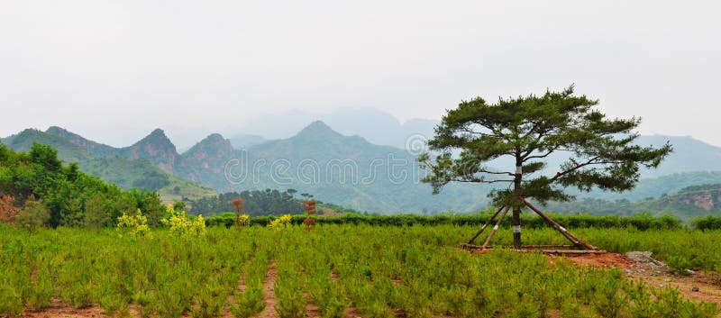 horizontal chinois rural photo libre de droits horizontal chinois rural photo libre de droits