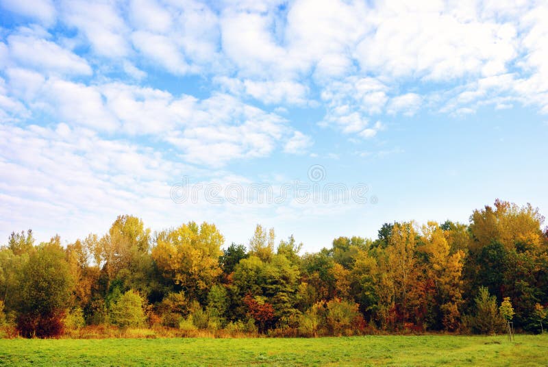 Horizontal d'automne images libres de droits Horizontal d'automne images libres de droits