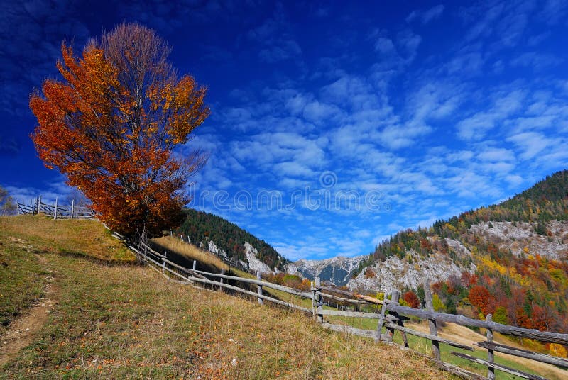 Horizontal d'automne de montagne image libre de droits Horizontal d'automne de montagne image libre de droits