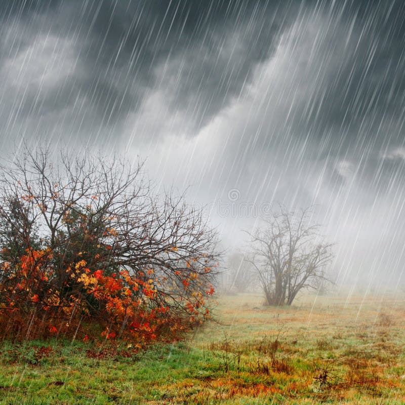 Horizontal d'automne en pluie et regain photo stock Horizontal d'automne en pluie et regain photo stock