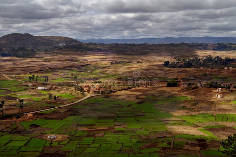 Horizontal de Betsileo chez le Madagascar