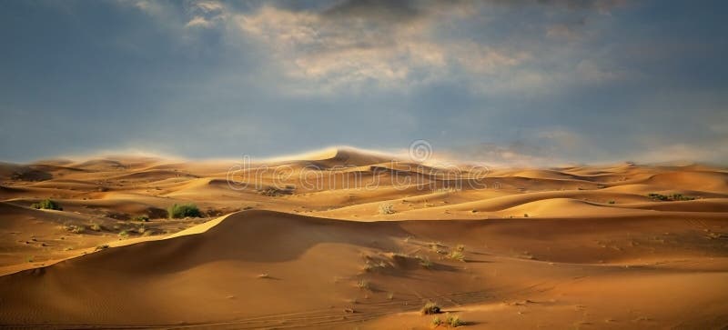 Horizontal de désert