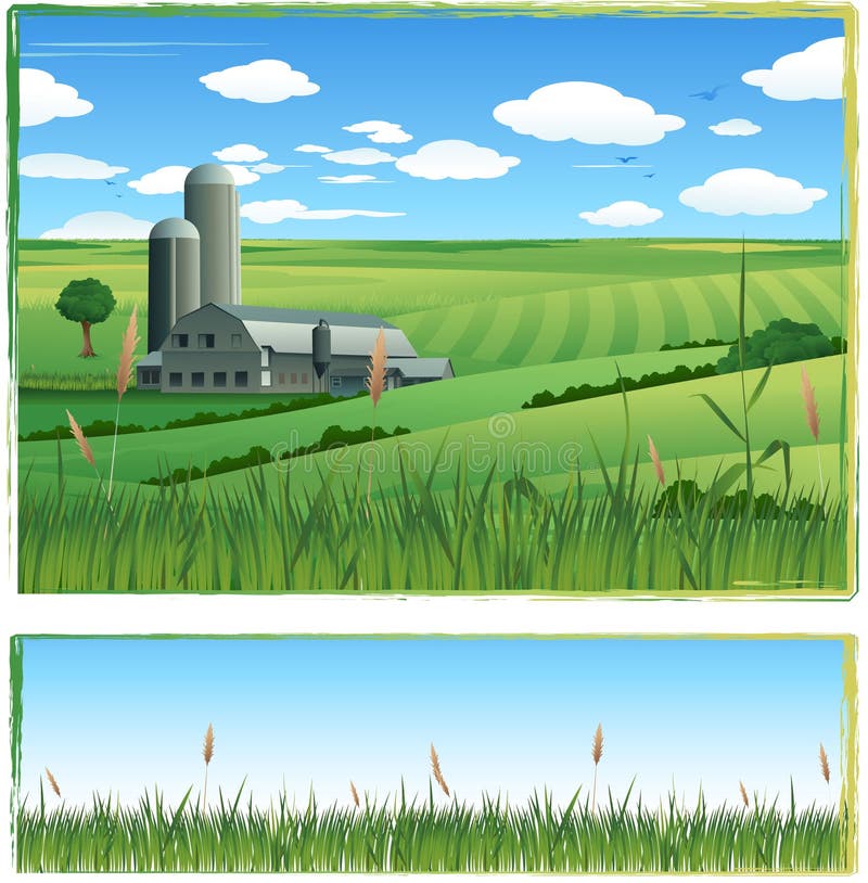Vector farm landscape. Harvest time. Vector farm landscape. Harvest time