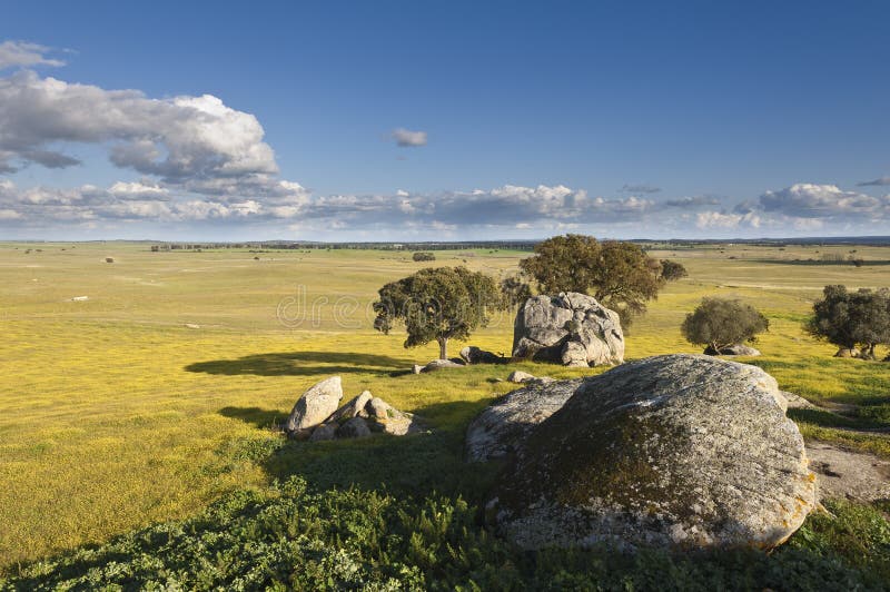 Paysage de l'Alentejo photo stock