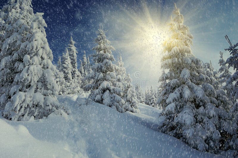 Winter landscape on a sunset. Mountains Carpathians, Ukraine. Winter landscape on a sunset. Mountains Carpathians, Ukraine